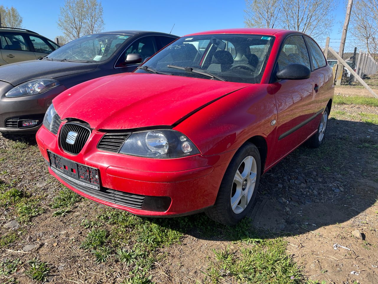 You are currently viewing 406, Seat Ibiza