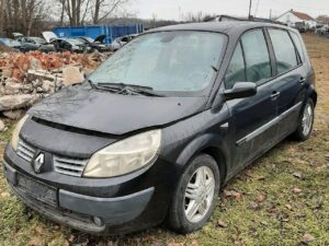 Read more about the article 450, Renault Scenic II.
