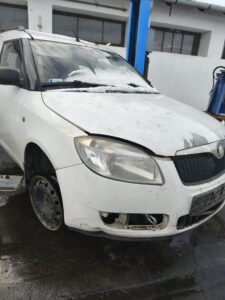 Read more about the article MO219-Skoda Roomster